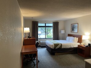 Efficiency, Room, 1 Queen Bed, Non Smoking