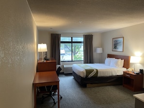 Efficiency, Room, 1 Queen Bed, Non Smoking
