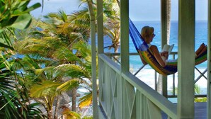 A person relaxing in a hammock on a balcony with a view of the ocean and palm trees. - ECO Lifestyle & Lodge (Bathsheba)