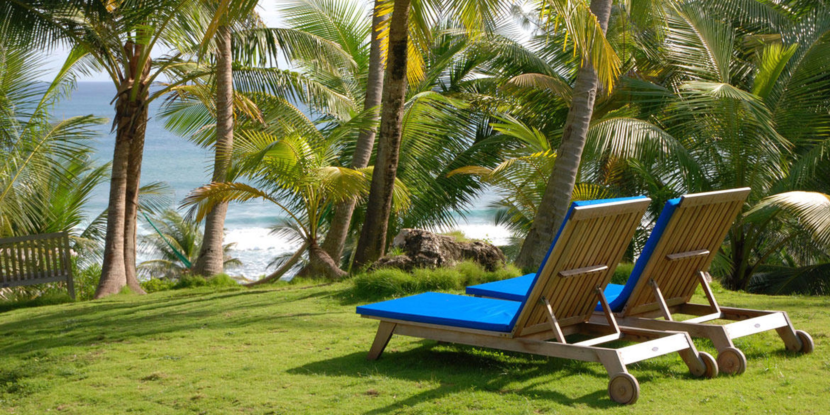 Two wooden lounge chairs with blue cushions on a grassy area with palm trees and a view of the ocean.