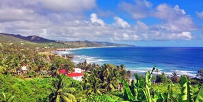 Beach nearby, free beach shuttle, sun loungers, beach umbrellas