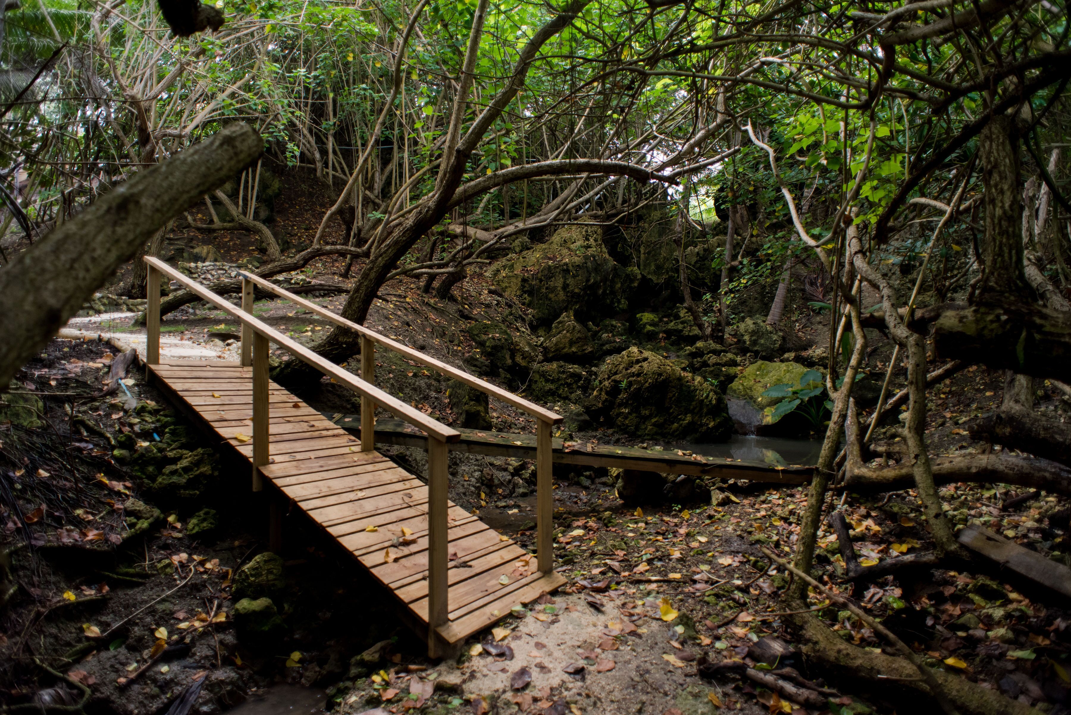 A wooden bridge in a forested area with a stream below.