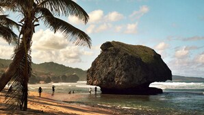 A beach with a large rock formation, palm trees, and people walking along the shore. - ECO Lifestyle & Lodge (Bathsheba)
