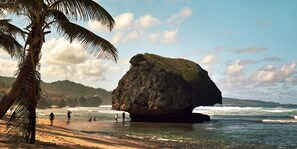 Beach nearby, free beach shuttle, sun-loungers, beach umbrellas