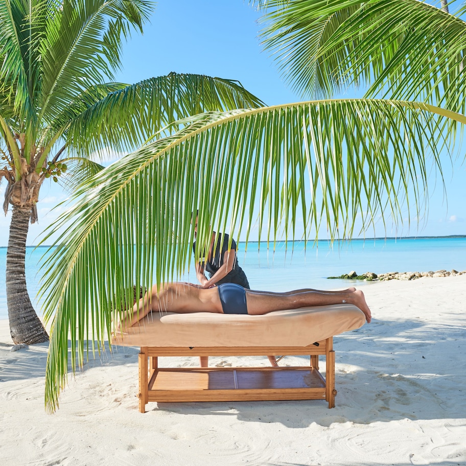 A beach scene with a hammock under palm trees, a sandy beach, and a clear blue sea.