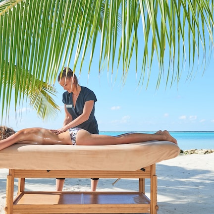 A massage table on a beach with a palm tree overhead.