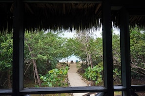Ein Weg führt zu einem Strand, umgeben von üppiger Vegetation und Bäumen.