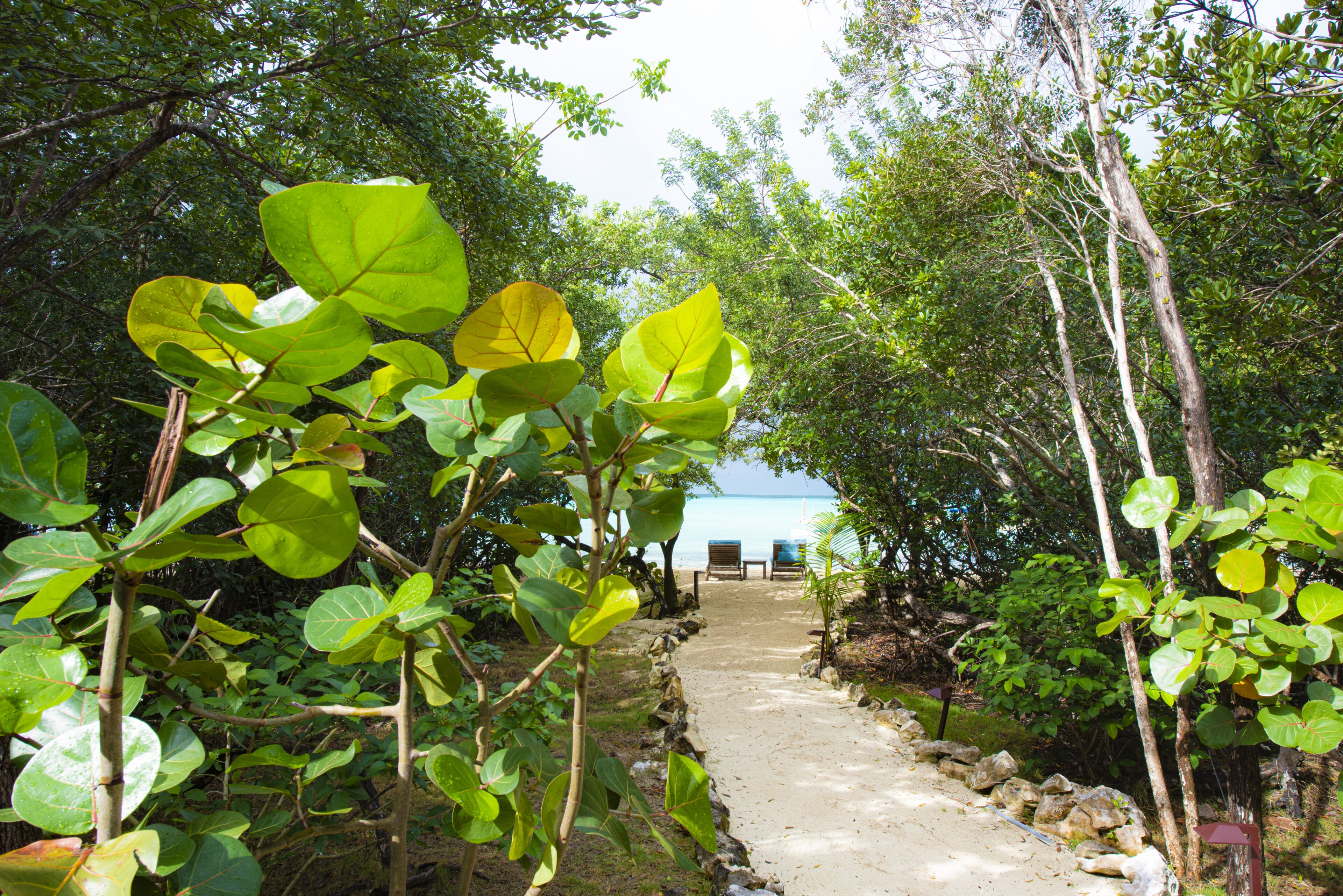 A pathway leading to a beach area with chairs and a building in the distance.