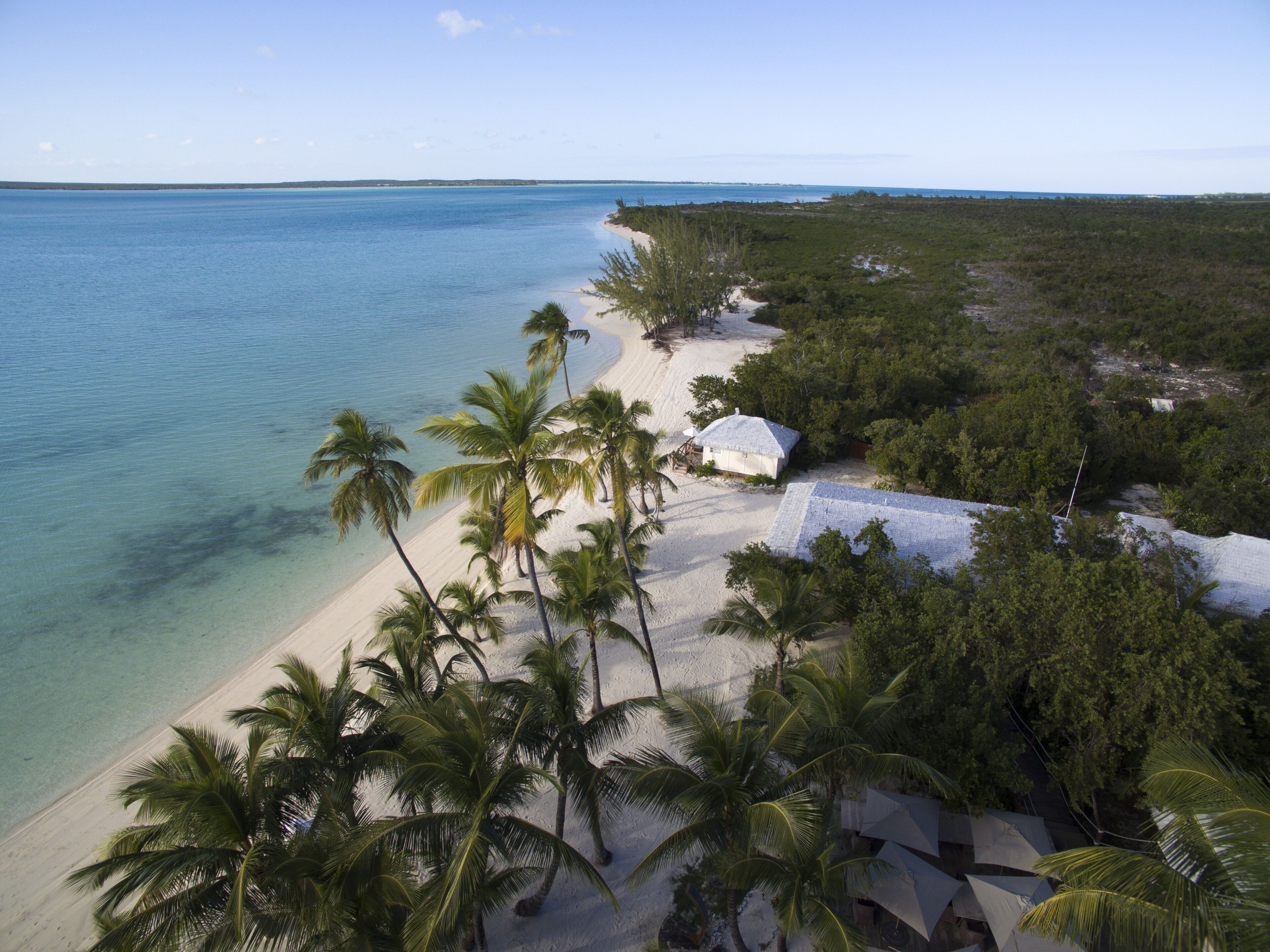 A beach with palm trees, a sandy shore, and a small building.