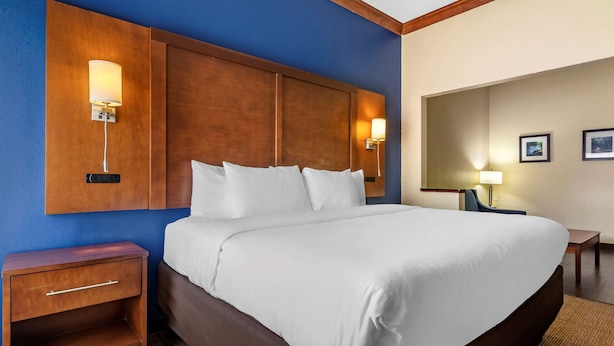 A hotel room with a large bed, wooden headboard, bedside tables, and wall-mounted lamps. - Comfort Inn & Suites Statesboro - University Area (Statesboro)