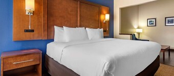 Comfort Inn & Suites Statesboro - University Area