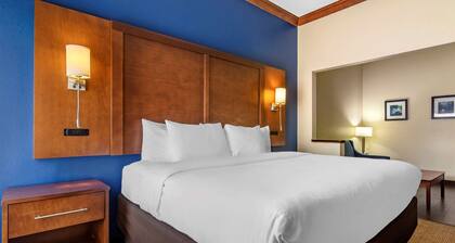 Comfort Inn & Suites Statesboro - University Area