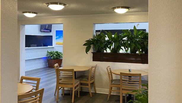 Un espace repas avec des tables et des chaises en bois, une plante en pot et un luminaire suspendu au plafond.