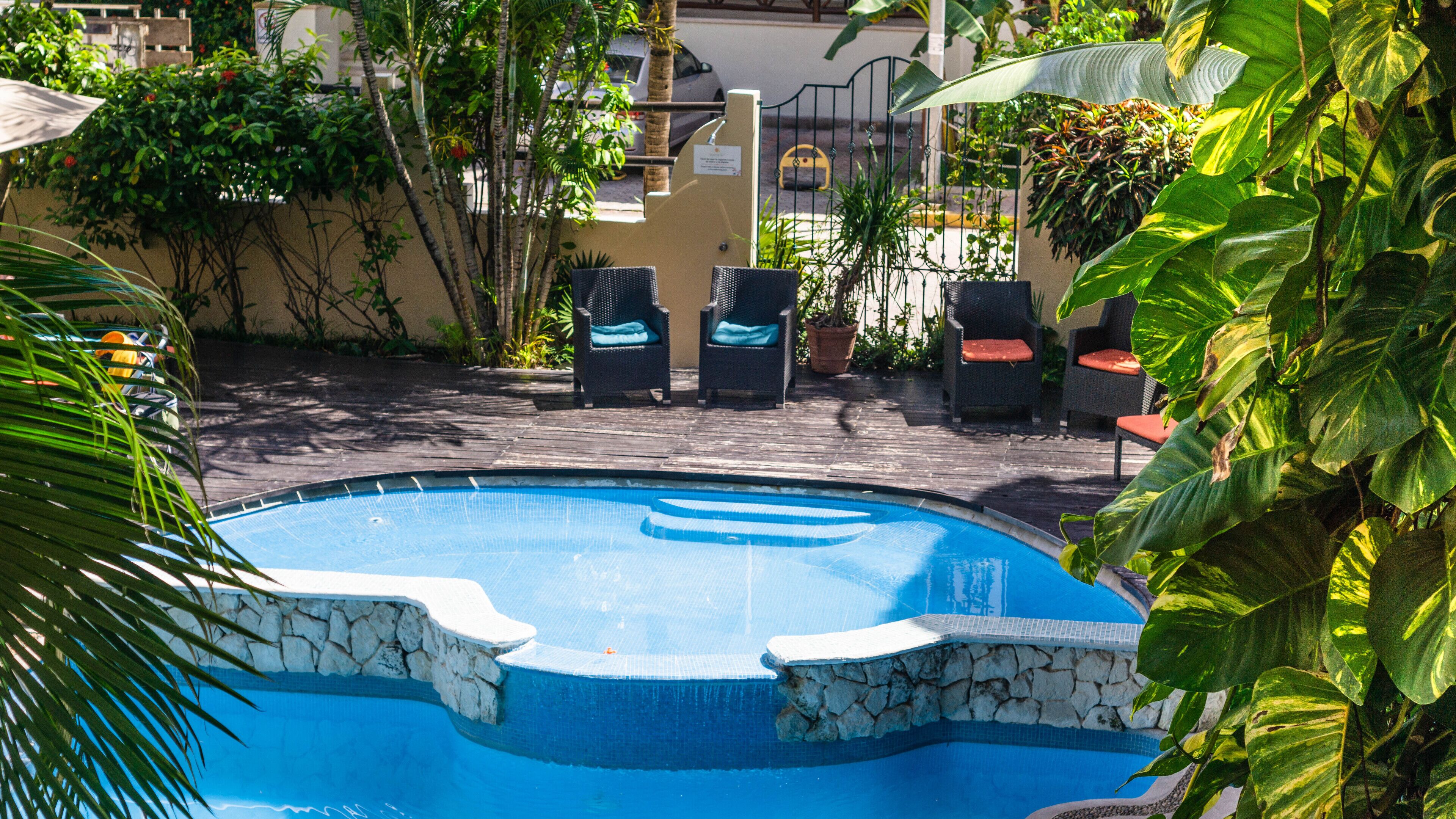 outdoor pool, pool loungers