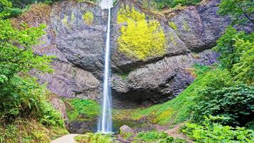 Une cascade se déversant le long d’une falaise rocheuse, entourée d’une végétation luxuriante.