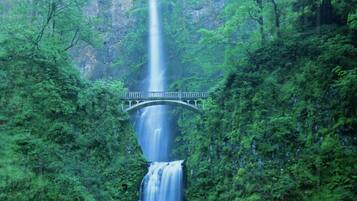 A waterfall cascading into a river surrounded by lush greenery and a bridge.