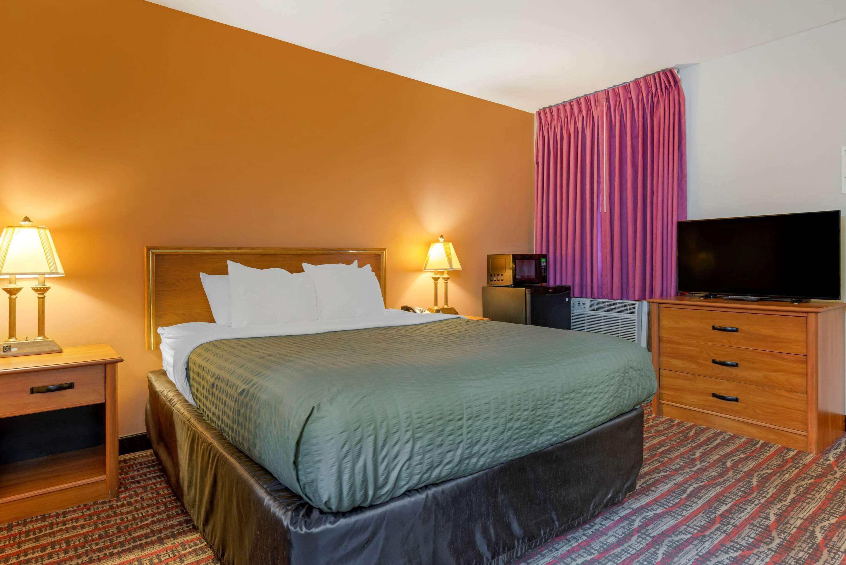 Una habitación de hotel con cama, lámparas de noche, televisor, cómoda y alfombra estampada.