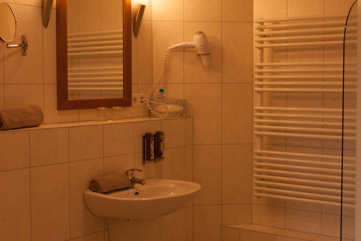 deep-soaking bathtub, free toiletries, hair dryer, bidet