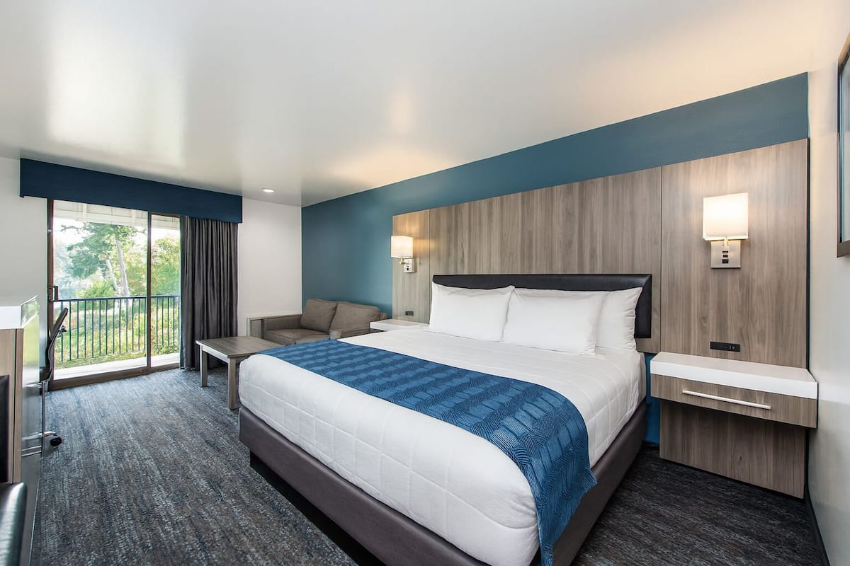 Harborview King | Blackout drapes, iron/ironing board, WiFi, bed sheets