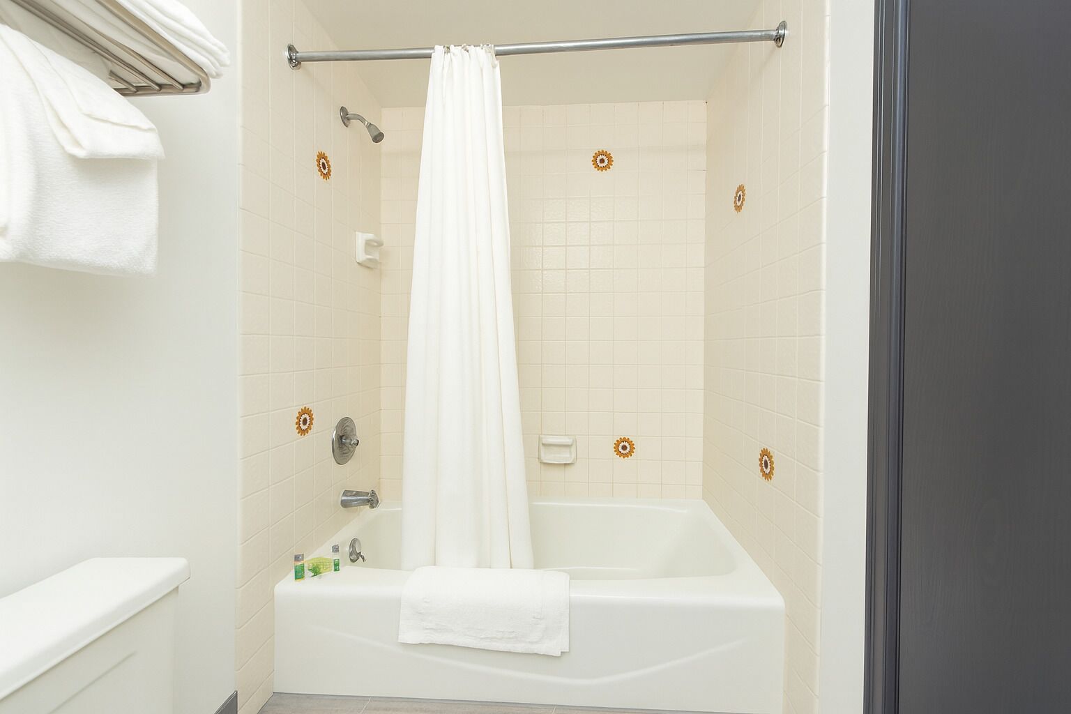 Un baño con bañera, ducha y toallero.