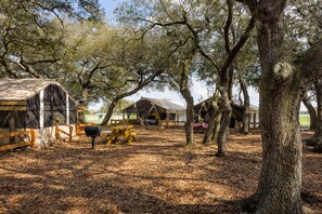 Room (Glamping) | View from room