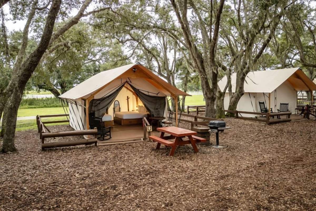 Un terrain de camping avec deux tentes, une table de pique-nique et un banc.