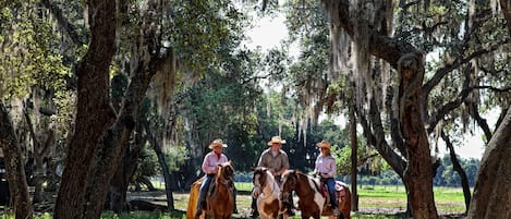 Horse riding