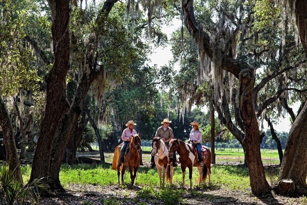 Horse riding