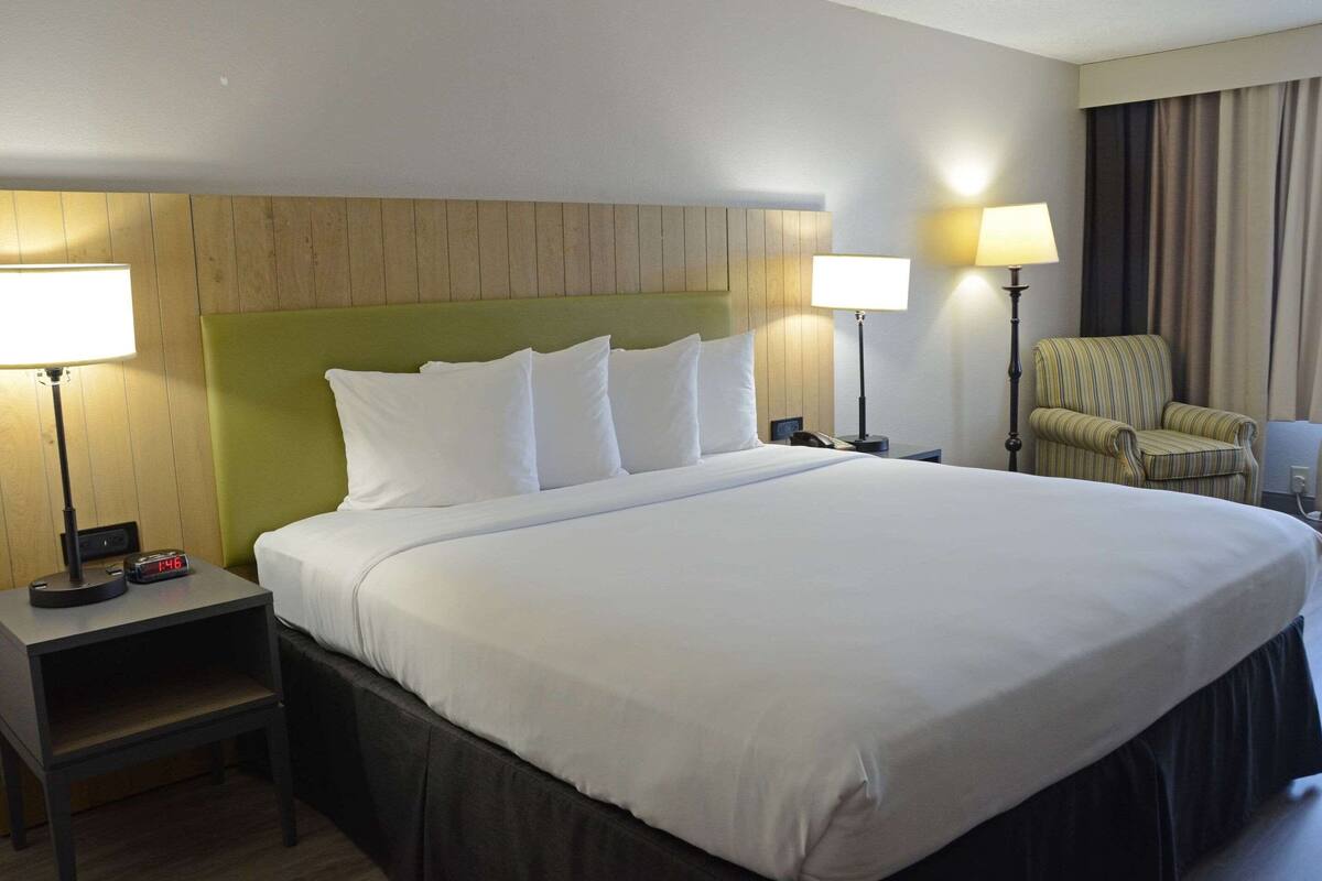 A neatly made bed with white linens, a green headboard, and two bedside lamps.