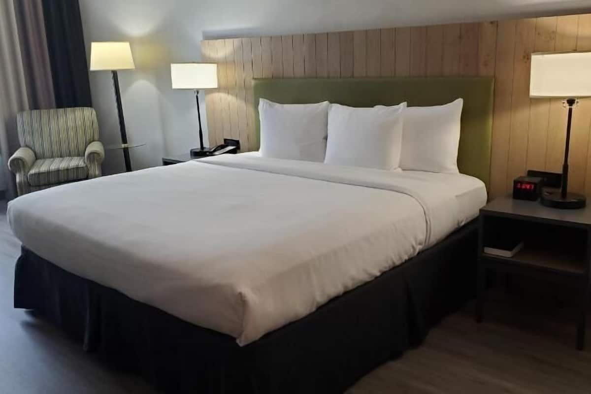 Down comforters, in-room safe, desk, blackout drapes