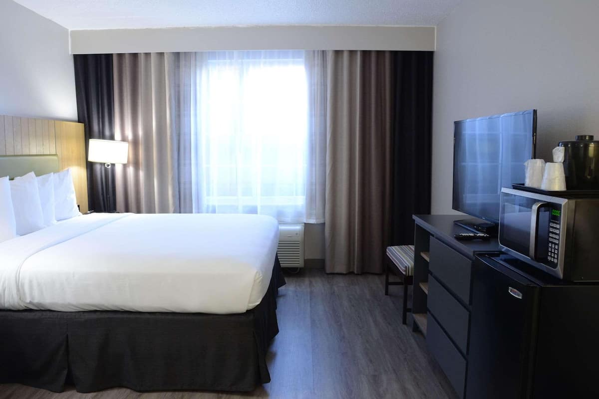 A hotel room with a bed, a television, a microwave, and a desk with a chair.