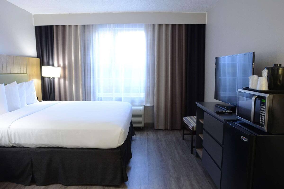 Suite Studio, 1 trÚs grand lit et 1 canapé-lit, non-fumeur