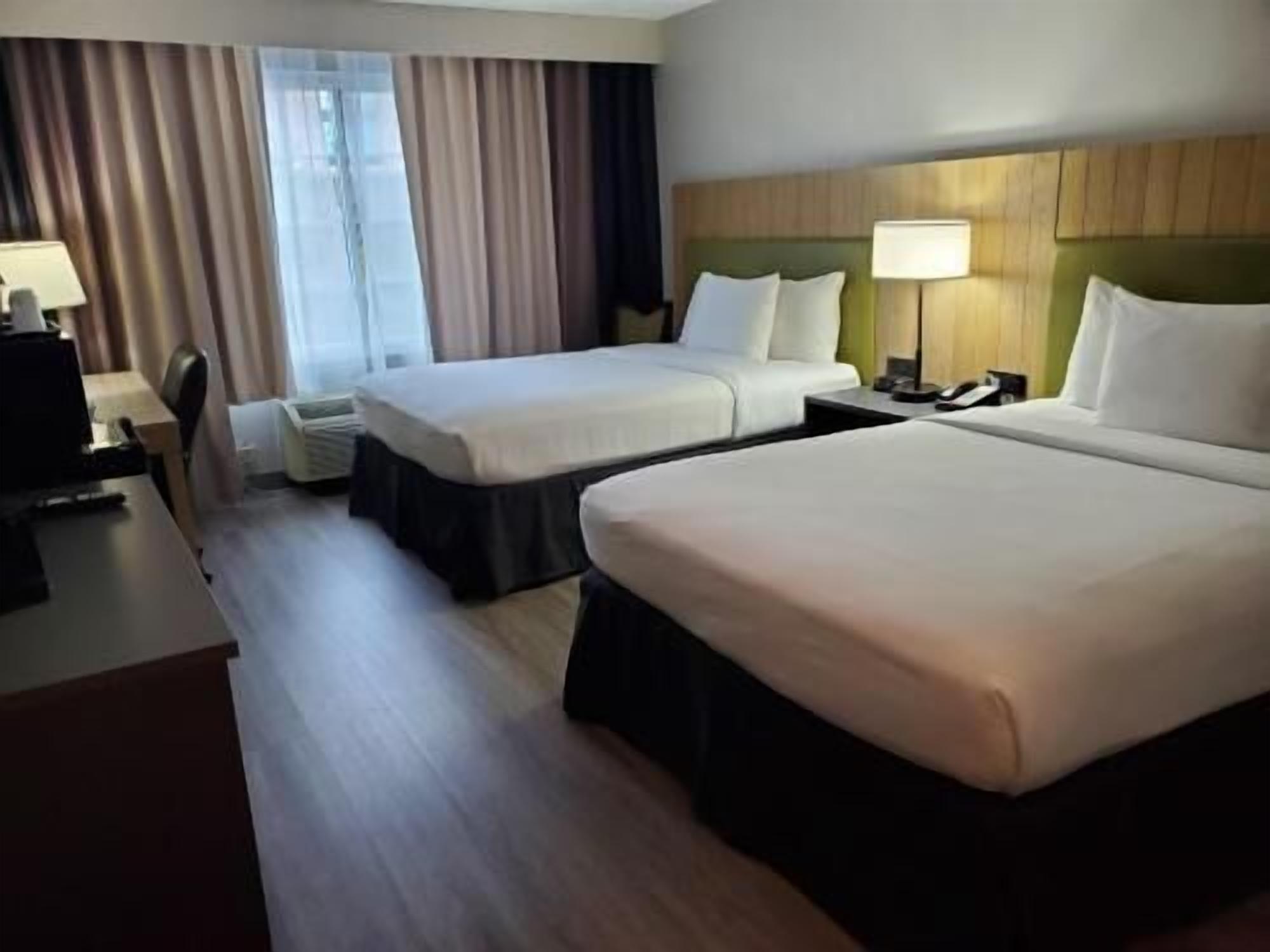 Down comforters, in-room safe, desk, blackout drapes