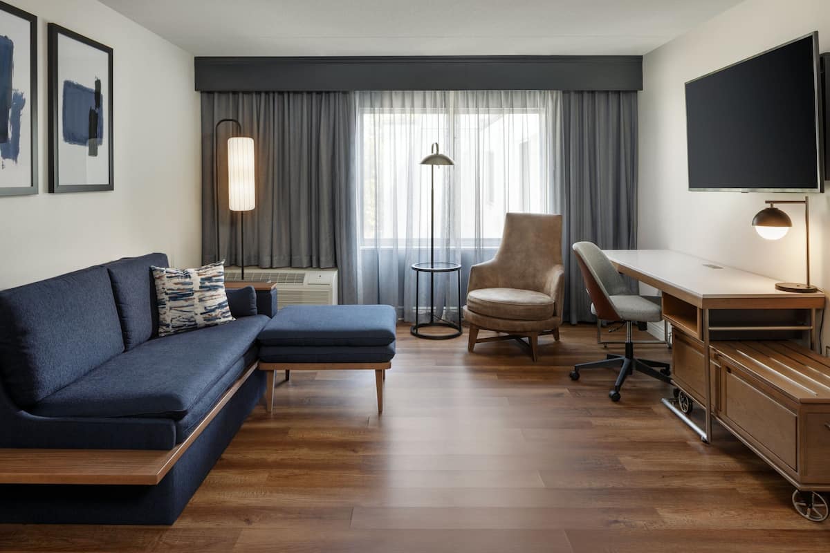 55-吋平面電視、衛星頻道、電視、Netflix