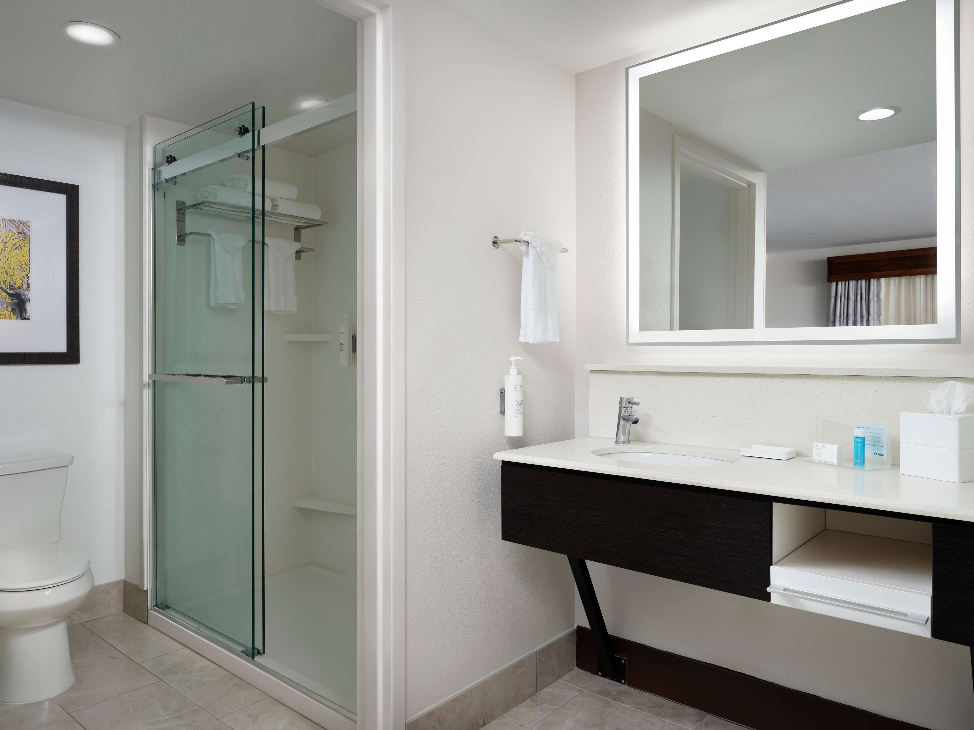 studio suite, 1 king bed | bathroom shower