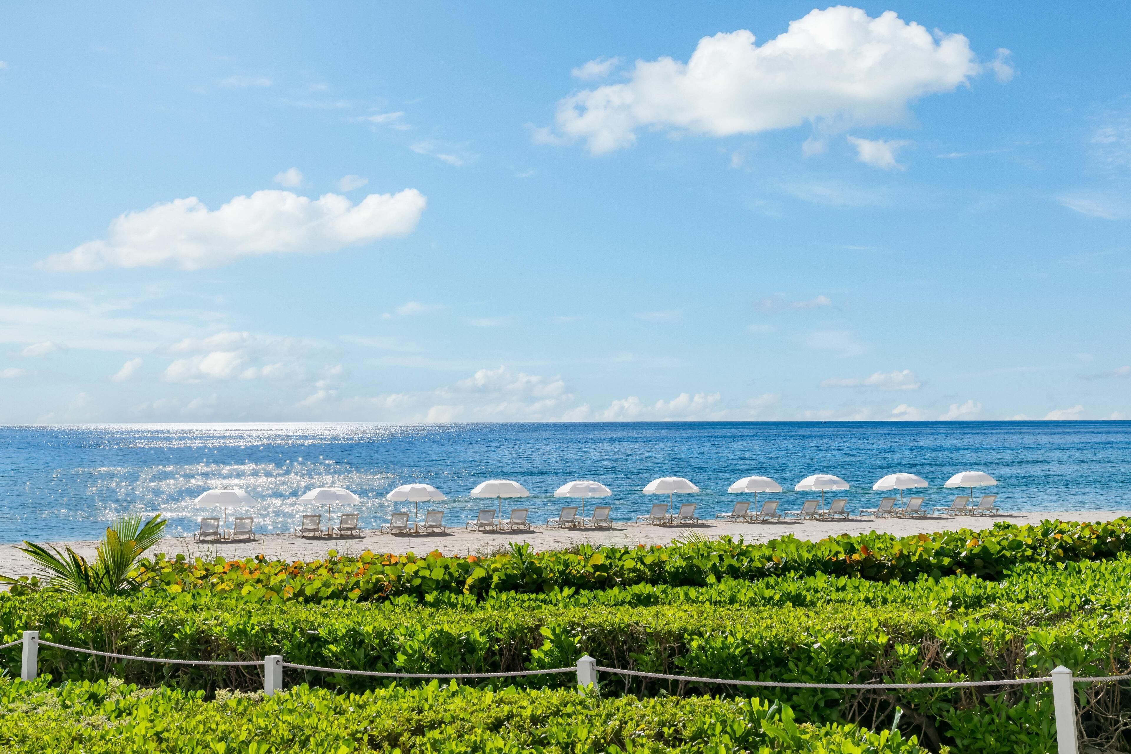 A beach with white umbrellas and lounge chairs, a clear sky, and the ocean.