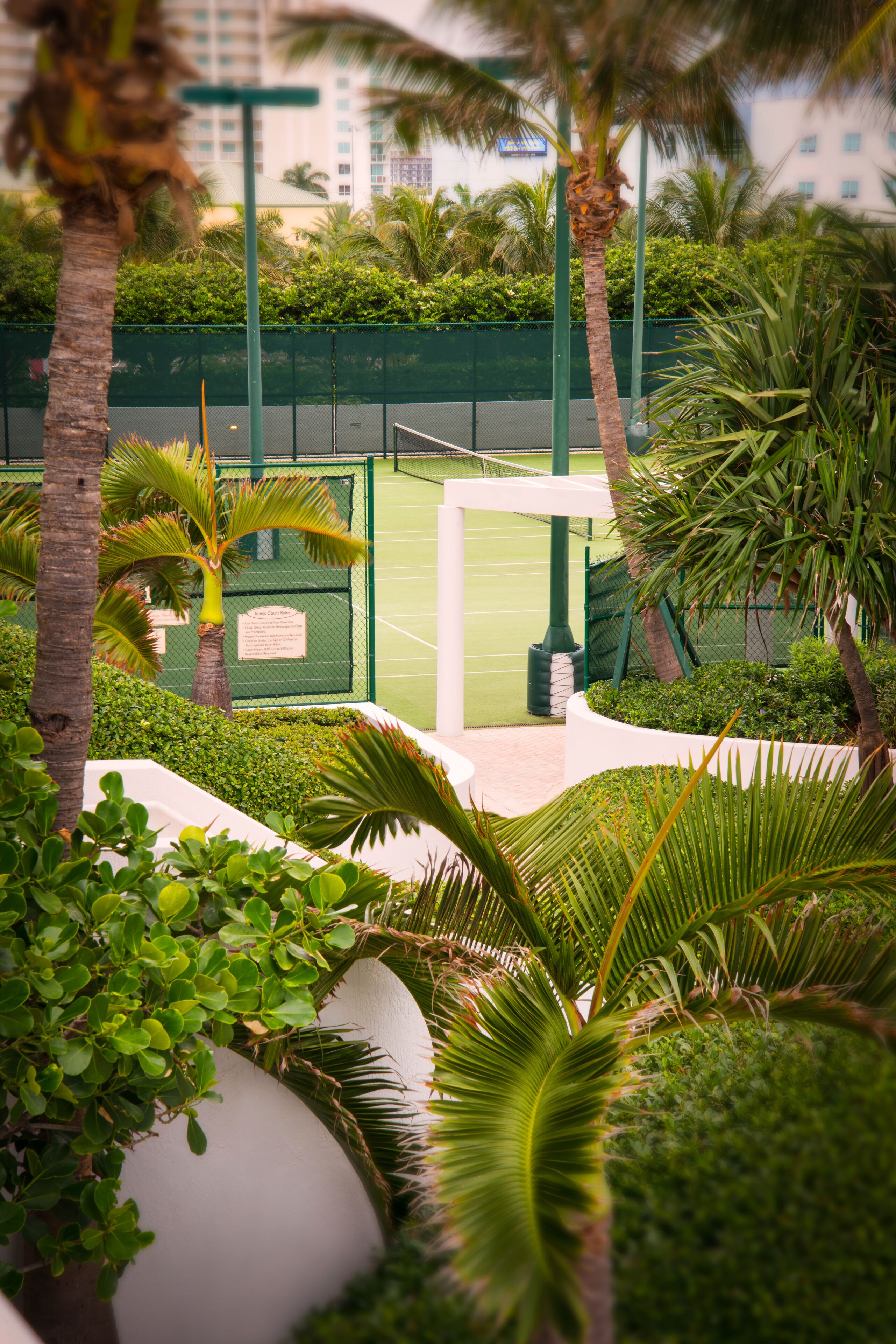 A tennis court surrounded by lush greenery and palm trees.