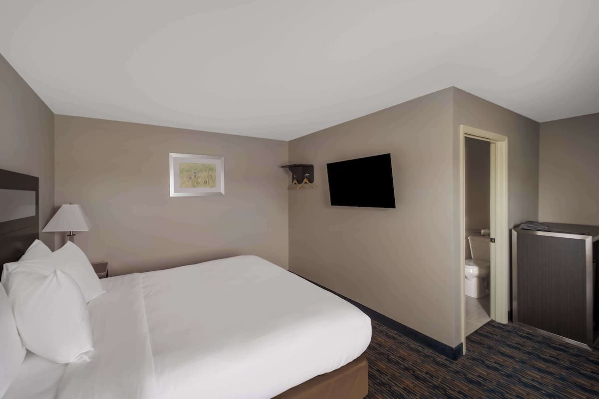 Una habitación de hotel con una cama, un televisor montado en la pared, una mesita de noche con lámpara y una puerta que da a un baño.