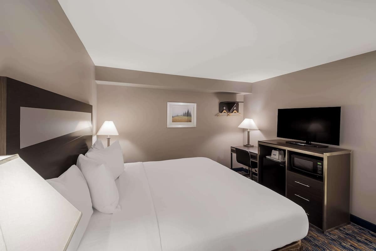 Habitación de hotel con una cama grande, un televisor de pantalla plana, un escritorio con lámpara y una pequeña estantería con un cuadro.