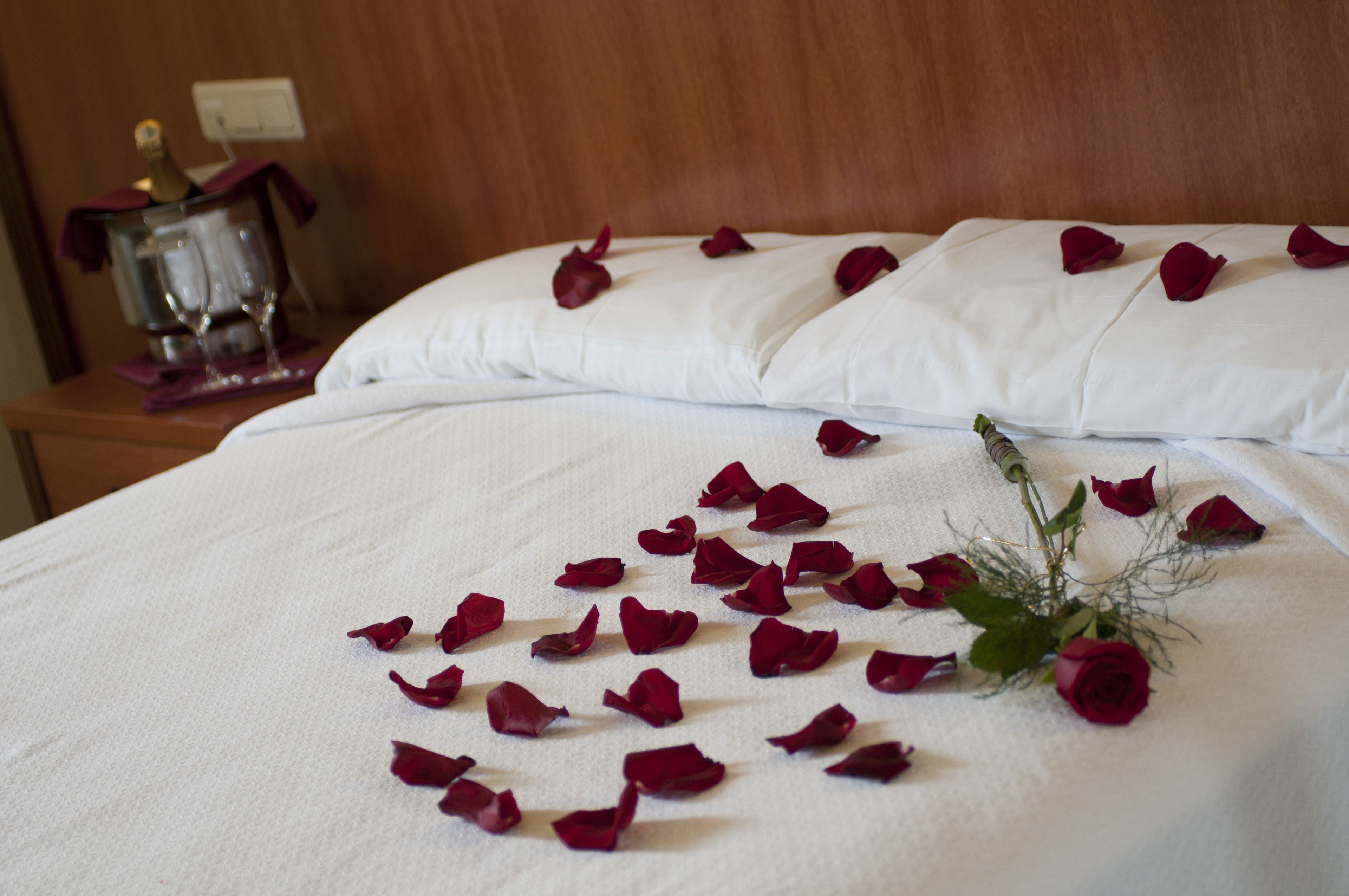 double or twin room | in-room safe, desk, soundproofing, rollaway beds