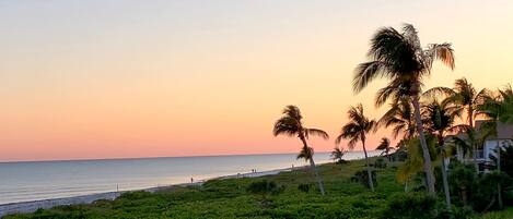 Beach nearby, white sand, beach umbrellas
