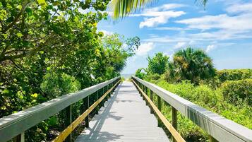 A wooden boardwalk with railings, surrounded by lush greenery and palm trees.