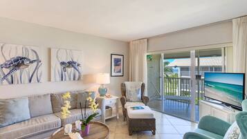 Flat-screen TV, DVD player