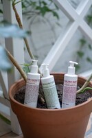 Kolme pulloa IMALIN+GOETZ -shampoota terrakottasäiliössä.