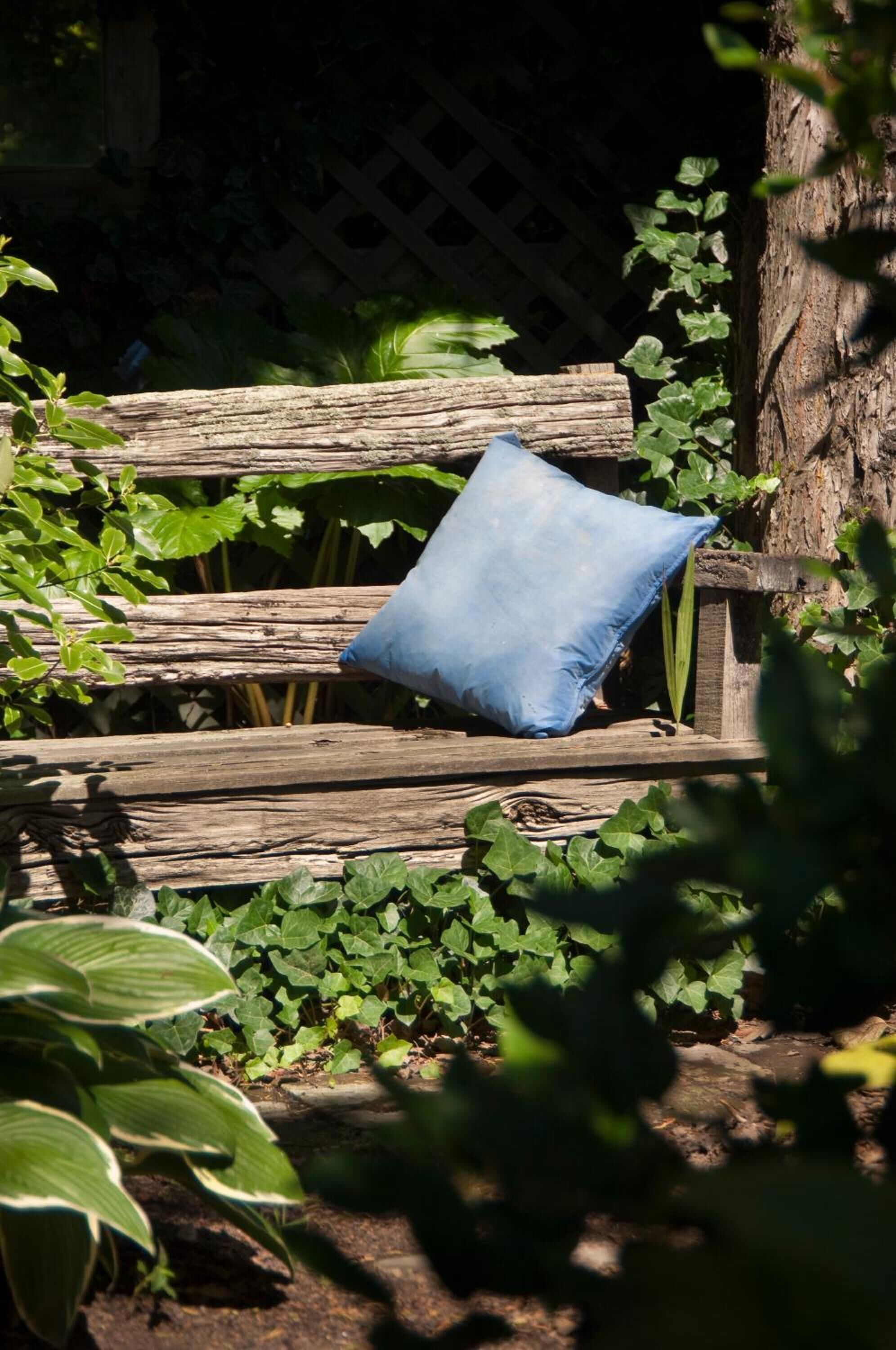 Un banco de madera con cojín azul en un jardín.