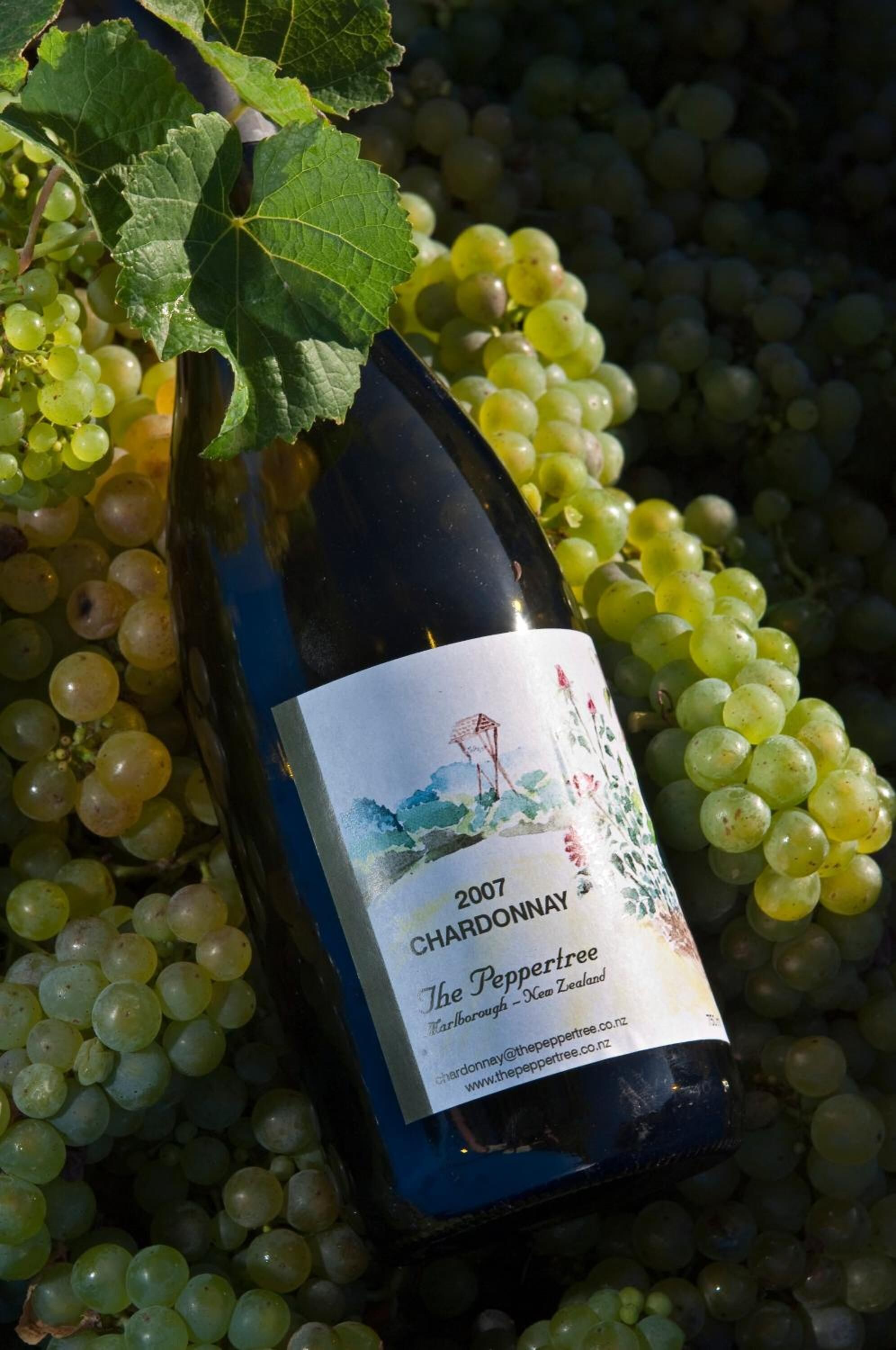 Una botella de Chardonnay de 2007 de The Peppertree, rodeada de racimos de uvas verdes.