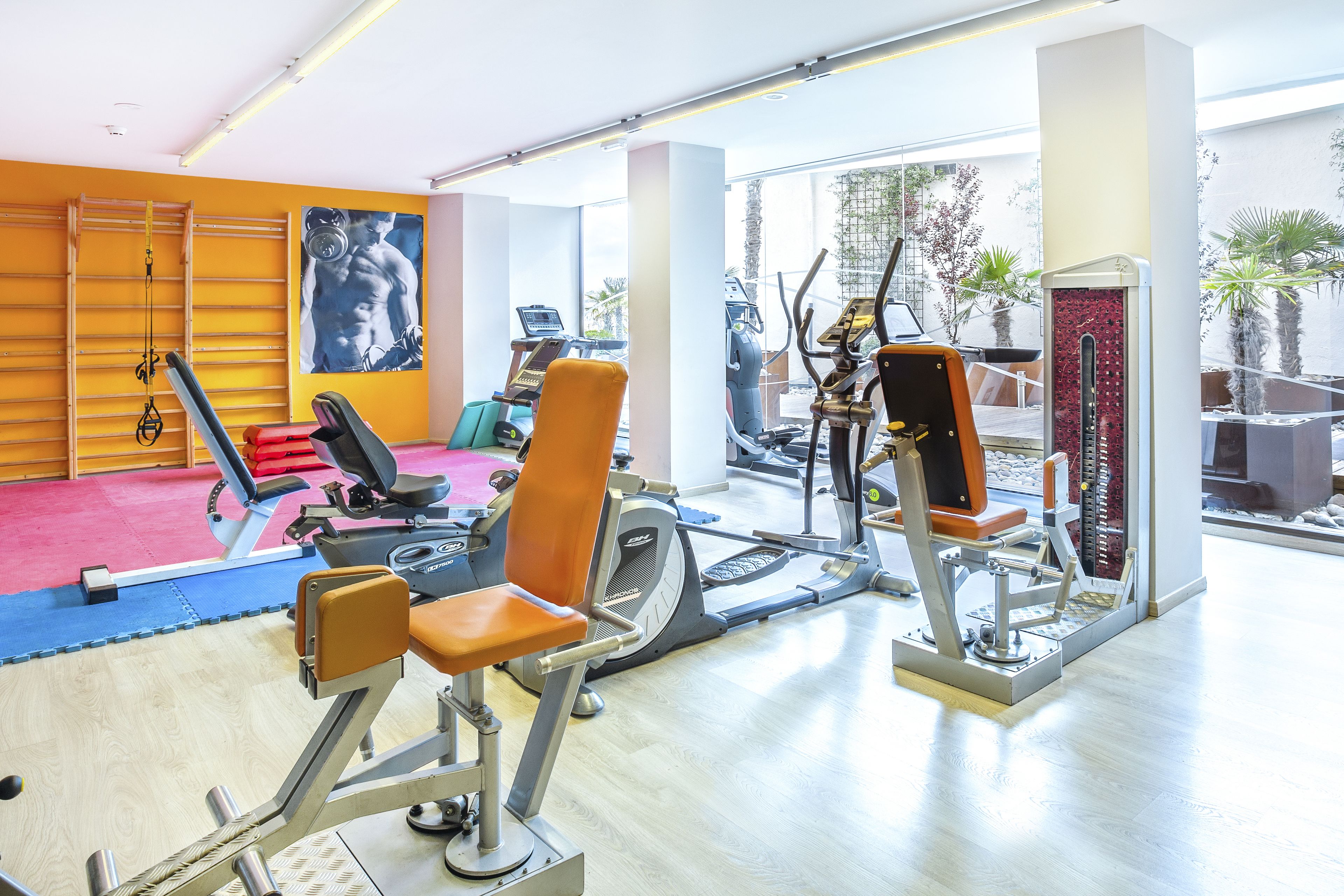 Un gimnasio con máquinas de cardio, equipo de levantamiento de pesas y un amplio ventanal con vistas al exterior.