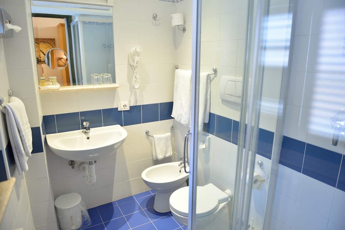 economy double room | bathroom | shower, designer toiletries, hair dryer, towels