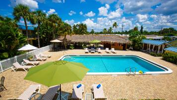 Outdoor pool, pool umbrellas, sun loungers
