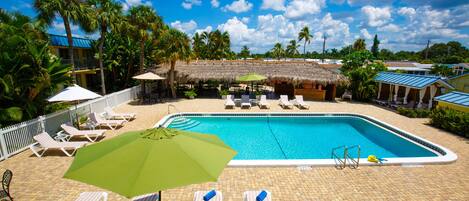 Outdoor pool, pool umbrellas, sun loungers